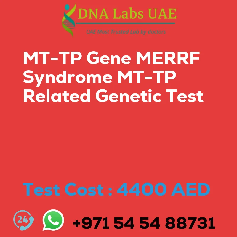MT-TP Gene MERRF Syndrome MT-TP Related Genetic Test sale cost 4400 AED
