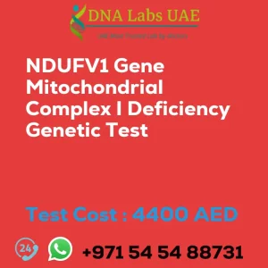 NDUFV1 Gene Mitochondrial Complex I Deficiency Genetic Test sale cost 4400 AED