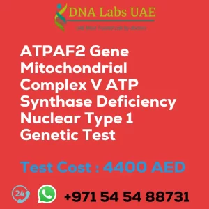 ATPAF2 Gene Mitochondrial Complex V ATP Synthase Deficiency Nuclear Type 1 Genetic Test sale cost 4400 AED