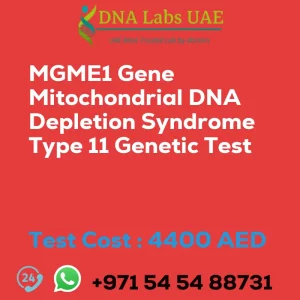 MGME1 Gene Mitochondrial DNA Depletion Syndrome Type 11 Genetic Test sale cost 4400 AED