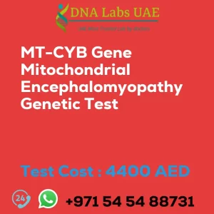 MT-CYB Gene Mitochondrial Encephalomyopathy Genetic Test sale cost 4400 AED