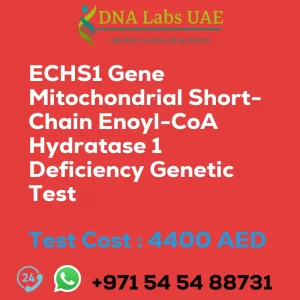 ECHS1 Gene Mitochondrial Short-Chain Enoyl-CoA Hydratase 1 Deficiency Genetic Test sale cost 4400 AED