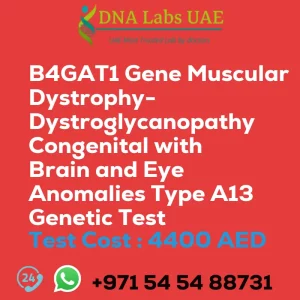 B4GAT1 Gene Muscular Dystrophy-Dystroglycanopathy Congenital with Brain and Eye Anomalies Type A13 Genetic Test sale cost 4400 AED