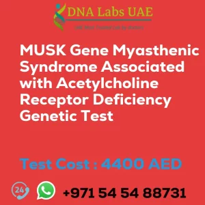 MUSK Gene Myasthenic Syndrome Associated with Acetylcholine Receptor Deficiency Genetic Test sale cost 4400 AED