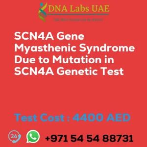 SCN4A Gene Myasthenic Syndrome Due to Mutation in SCN4A Genetic Test sale cost 4400 AED