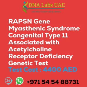 RAPSN Gene Myasthenic Syndrome Congenital Type 11 Associated with Acetylcholine Receptor Deficiency Genetic Test sale cost 4400 AED