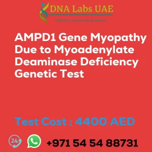 AMPD1 Gene Myopathy Due to Myoadenylate Deaminase Deficiency Genetic Test sale cost 4400 AED