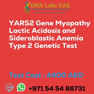 YARS2 Gene Myopathy Lactic Acidosis and Sideroblastic Anemia Type 2 Genetic Test sale cost 4400 AED