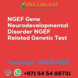 NGEF Gene Neurodevelopmental Disorder NGEF Related Genetic Test sale cost 4400 AED