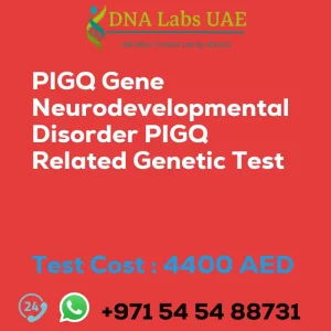 PIGQ Gene Neurodevelopmental Disorder PIGQ Related Genetic Test sale cost 4400 AED