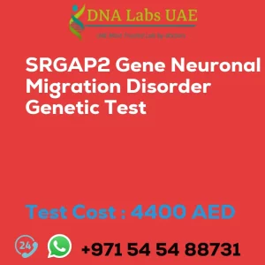 SRGAP2 Gene Neuronal Migration Disorder Genetic Test sale cost 4400 AED