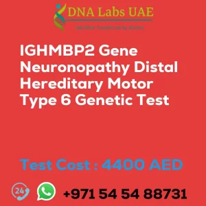 IGHMBP2 Gene Neuronopathy Distal Hereditary Motor Type 6 Genetic Test sale cost 4400 AED