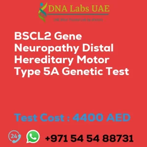 BSCL2 Gene Neuropathy Distal Hereditary Motor Type 5A Genetic Test sale cost 4400 AED