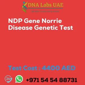 NDP Gene Norrie Disease Genetic Test sale cost 4400 AED