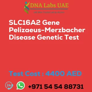 SLC16A2 Gene Pelizaeus-Merzbacher Disease Genetic Test sale cost 4400 AED