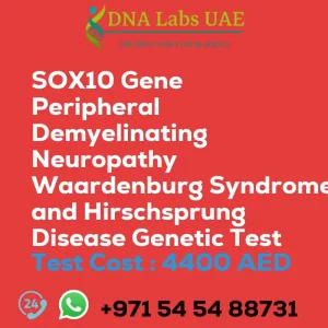 SOX10 Gene Peripheral Demyelinating Neuropathy Waardenburg Syndrome and Hirschsprung Disease Genetic Test sale cost 4400 AED