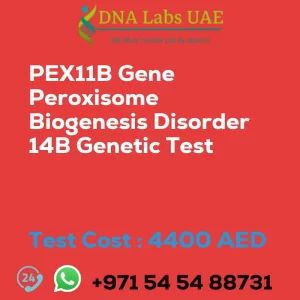 PEX11B Gene Peroxisome Biogenesis Disorder 14B Genetic Test sale cost 4400 AED