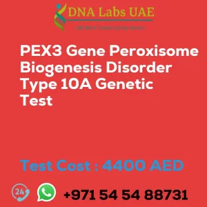 PEX3 Gene Peroxisome Biogenesis Disorder Type 10A Genetic Test sale cost 4400 AED