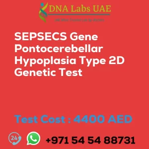 SEPSECS Gene Pontocerebellar Hypoplasia Type 2D Genetic Test sale cost 4400 AED