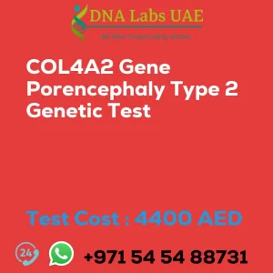 COL4A2 Gene Porencephaly Type 2 Genetic Test sale cost 4400 AED