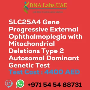 SLC25A4 Gene Progressive External Ophthalmoplegia with Mitochondrial Deletions Type 2 Autosomal Dominant Genetic Test sale cost 4400 AED