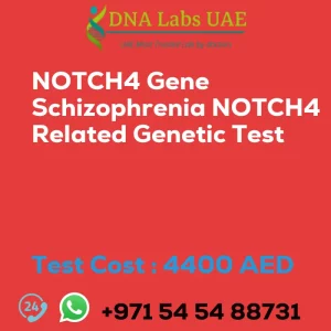 NOTCH4 Gene Schizophrenia NOTCH4 Related Genetic Test sale cost 4400 AED