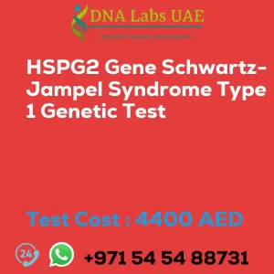 HSPG2 Gene Schwartz-Jampel Syndrome Type 1 Genetic Test sale cost 4400 AED