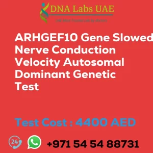 ARHGEF10 Gene Slowed Nerve Conduction Velocity Autosomal Dominant Genetic Test sale cost 4400 AED