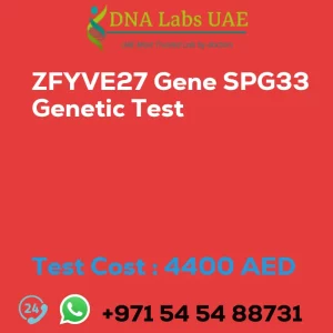 ZFYVE27 Gene SPG33 Genetic Test sale cost 4400 AED