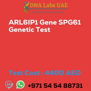 ARL6IP1 Gene SPG61 Genetic Test sale cost 4400 AED