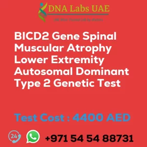 BICD2 Gene Spinal Muscular Atrophy Lower Extremity Autosomal Dominant Type 2 Genetic Test sale cost 4400 AED