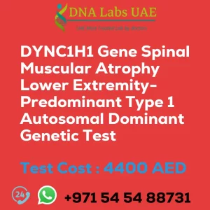 DYNC1H1 Gene Spinal Muscular Atrophy Lower Extremity-Predominant Type 1 Autosomal Dominant Genetic Test sale cost 4400 AED