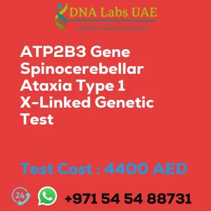 ATP2B3 Gene Spinocerebellar Ataxia Type 1 X-Linked Genetic Test sale cost 4400 AED