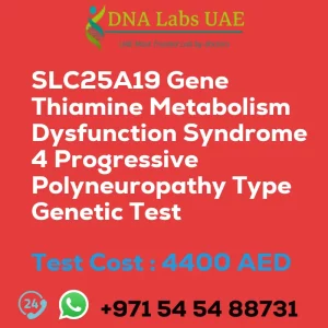 SLC25A19 Gene Thiamine Metabolism Dysfunction Syndrome 4 Progressive Polyneuropathy Type Genetic Test sale cost 4400 AED