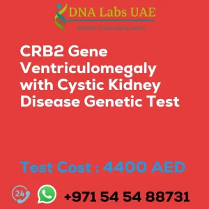 CRB2 Gene Ventriculomegaly with Cystic Kidney Disease Genetic Test sale cost 4400 AED