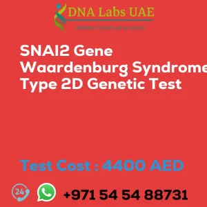 SNAI2 Gene Waardenburg Syndrome Type 2D Genetic Test sale cost 4400 AED