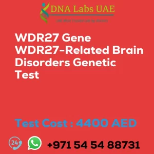 WDR27 Gene WDR27-Related Brain Disorders Genetic Test sale cost 4400 AED