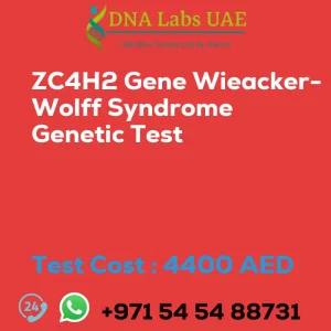 ZC4H2 Gene Wieacker-Wolff Syndrome Genetic Test sale cost 4400 AED