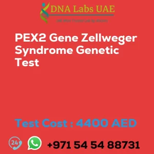 PEX2 Gene Zellweger Syndrome Genetic Test sale cost 4400 AED