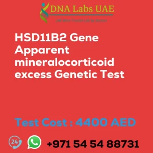 HSD11B2 Gene Apparent mineralocorticoid excess Genetic Test sale cost 4400 AED