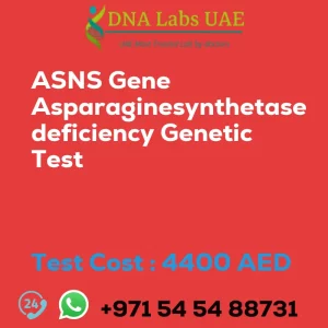 ASNS Gene Asparaginesynthetase deficiency Genetic Test sale cost 4400 AED