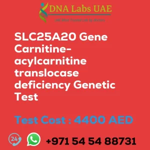 SLC25A20 Gene Carnitine-acylcarnitine translocase deficiency Genetic Test sale cost 4400 AED