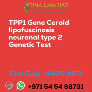TPP1 Gene Ceroid lipofuscinosis neuronal type 2 Genetic Test sale cost 4400 AED