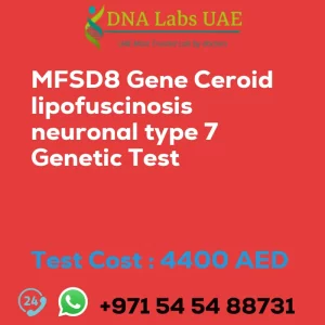 MFSD8 Gene Ceroid lipofuscinosis neuronal type 7 Genetic Test sale cost 4400 AED