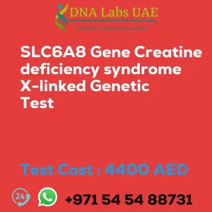 SLC6A8 Gene Creatine deficiency syndrome X-linked Genetic Test sale cost 4400 AED