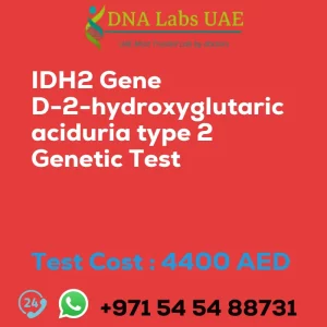 IDH2 Gene D-2-hydroxyglutaric aciduria type 2 Genetic Test sale cost 4400 AED