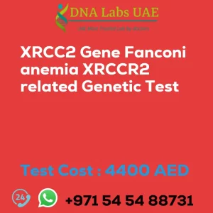 XRCC2 Gene Fanconi anemia XRCCR2 related Genetic Test sale cost 4400 AED