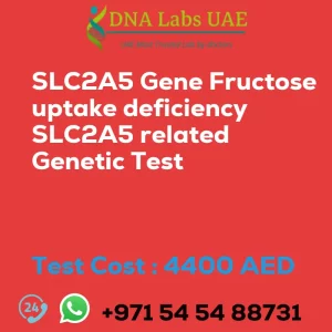 SLC2A5 Gene Fructose uptake deficiency SLC2A5 related Genetic Test sale cost 4400 AED