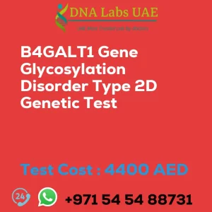 B4GALT1 Gene Glycosylation Disorder Type 2D Genetic Test sale cost 4400 AED