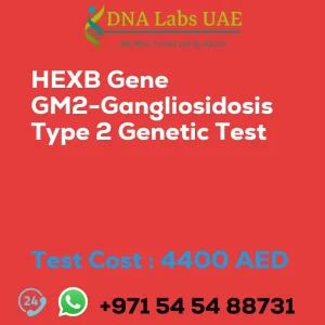 HEXB Gene GM2-Gangliosidosis Type 2 Genetic Test sale cost 4400 AED